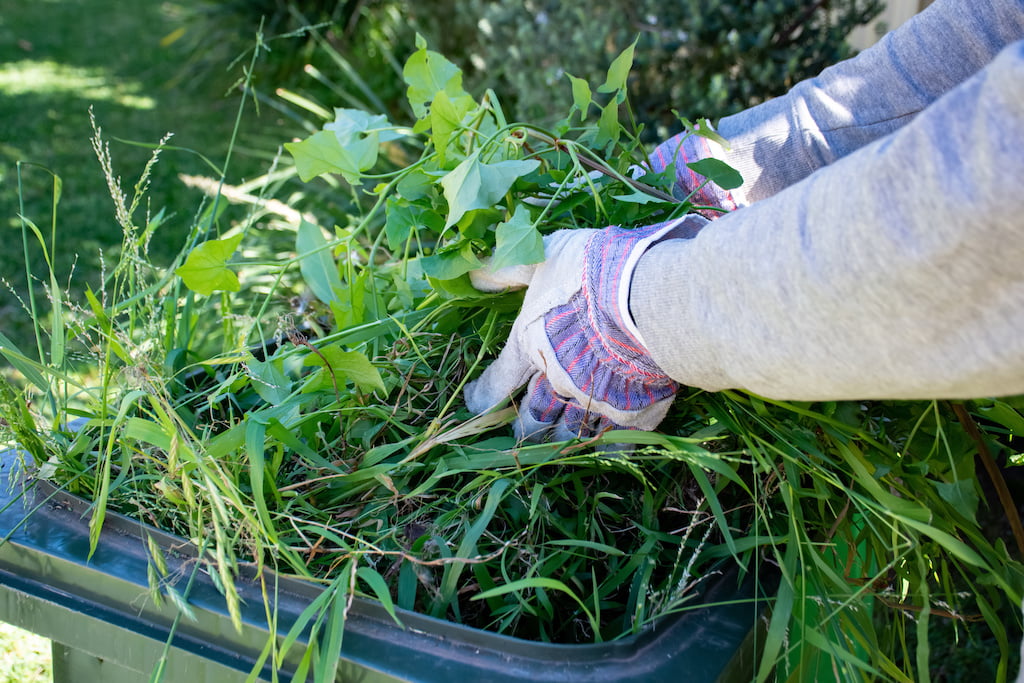 Everything You Need To Know About Green Waste - Cheapest Load of Rubbish