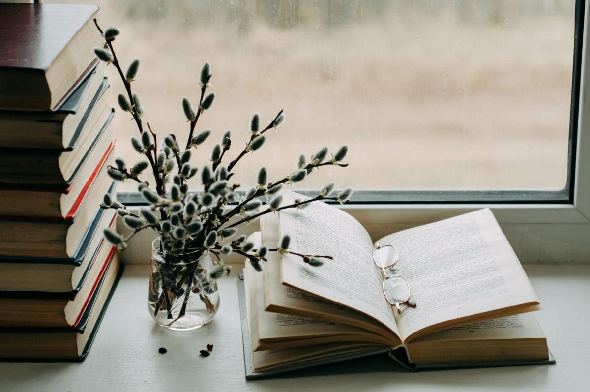 What To Do With Books You No Longer Want at Cheapest load of rubbish Sydney